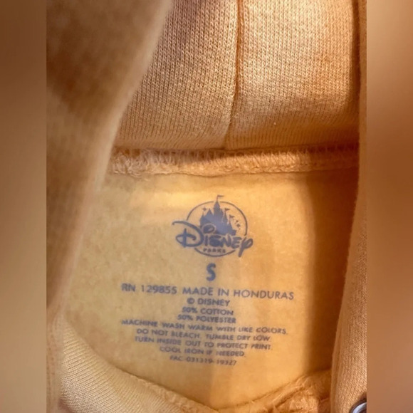 Disneyland Resort Disney Parks Retro Banner Hoodie Sweatshirt(A1) - Picture 4 of 12